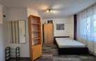 Apartament 1 camera studio Tudor Vladimirescu - 3