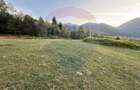 Teren 646mp intre Bran si Zarnesti (Tohanita,) intravilan - 19