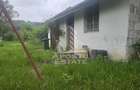 Proprietate cu potential turistic in Gurahont - 23