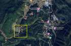 Teren intravilan cu PUZ zona Poiana Brasov ideal constructii case - 1