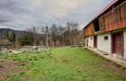 Casa  la munte cu teren generos in Com. Nucsoara, loc. Slatina jud. Arges! - 7