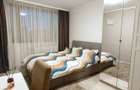 Apartament 3 camere langa Parcul Circului - 3