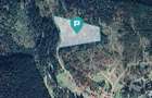 Teren 36000 mp, Borsec - 3