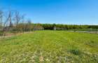 Teren intravilan 3800 mp Alparea lângă pădure - 2