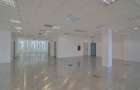 Swan Office Park cladirea Henley, Nord, 245 - 484 mp  0% comision! - 8