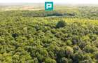 TEREN AGRICOL EXTRAVILAN  22.900 MP LIPOVA - 10