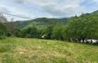 Teren Moieciu cu vedere catre Paitra Craiului - 1