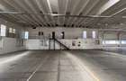 Hala industrială de închiriat, 2800 mp Alba Iulia zona industrială Dedeman - 4