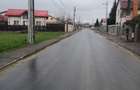 Teren de vânzare – Cornetu, Ilfov – Strada Bradului - 1