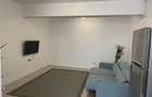 Aparrtament 2 camere Decebal - 1