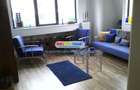 Apartament 2 camere Jiului complet mobilat si utilat s020 - 22