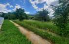 Teren de vanzare intravilan Valea Vie ( Dimitre Cantemir )1000 mp , Cod 147432 - 1
