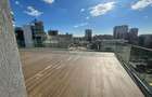LUXURY 5 ROOMS PENTHOUSE PIATA VICTORIEI - 1