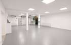 Hală / Spatiu Comercial Multifunctional – 300mp - Teren 784mp - Com.  Berceni - 19