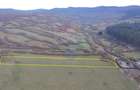 Teren 5.800 mp Purcareni curent, gaz, apă / Strada 30 decembrie - 1