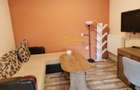 Apartament 2 camere, zona Podu de Fier, la casa(curte) - 2