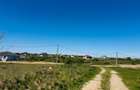 Teren intravilan 3800 mp Alparea lângă pădure - 3