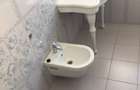 Inchiriere Vila De Lux Baneasa Sisesti - 9