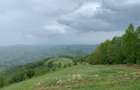 Teren extravilan 2ha, priveliste panoramica spre munti /Poiana Marului - 8