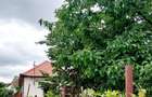 Casa cu 3 camere și 2 băi, 110 mp utili singur în curte - 7