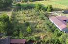 Vila superba 400m2 complet mobilata cu 5000m2 de teren - 10