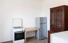 RECO Teren mare cu 2 case in Sabolciu, com. Sacadat - 4