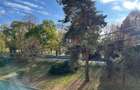 Casa in zona elitista, pe faleza Muresului, Praporgescu/IC Bratianu - 5