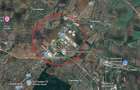 Dumbravita - Hala Industriala - Su: 1800mp - St: 1600mp - Flexibilitate - 1