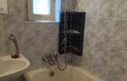 APARTAMENT 2  CAMERE GORJULUI - 5