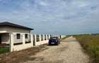 Domnesti- Proprietar, 3 loturi alaturate de 600mp fiecare lot - 6