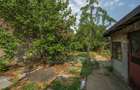 CHIAJNA - CASA RENOVABILA 129 MP, LOT 690 MP! - 18