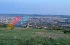 Teren extravilan 1100 mp, view deosebit, zona Lomb(Perlei) - 2