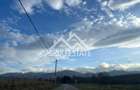 Cabana La Munte -  Premium - 4 camere – Comision 0 - 20