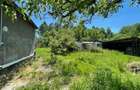 CASA LA TARA | 6770MP TEREN | JOSANI | BIHOR | - 13