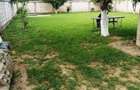 Casa - Vila - Bragadiru - 350000E- Neg- 1000mp teren - ideala 2 familii sau afte - 10