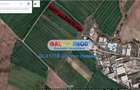Teren intravilan industrial 4976 mp Chitila Str Oxigenului - 1