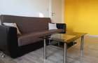 Lipovei - Sever Bocu - Apt 2 camere - centrala termica/AC - 20
