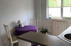 Inchiriere apartament 2 camere, Dristor - 8
