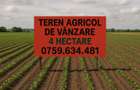 TEREN AGRICOL DE VÂNZARE – 4 HECTARE, TULCEA (SATU NOU) - 1