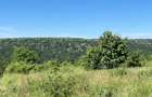 Teren de vanzare 7400mp, Slobozia - Ciurea - 1