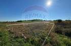 1.500 eur/ar - TEREN INTRAVILAN in Lapusel - 2