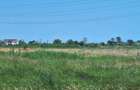 OCAZIE !EFORIE NORD  TEREN DE 1.666 MP PRET 199.000 EURO - 16