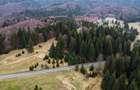 Teren cu potential:1.000 mp,proiect turistic/rezidential,Poiana Brasov - 3