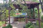 Direct Proprietar - Casa   Vila de Vanzare P+1+M - Pantelimon - 5