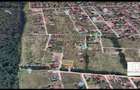 Dumbravita Teren Intravilan 1466mp Front 29m | Langa Padure - 7