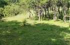 Teren extravilan de vânzare  comuna Șișești sat Șișești Maramures - 9