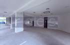 Spatiu comercial 220 mp cu curte si terasa, Sector 1 - 6