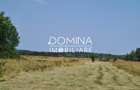Vânzare teren *17,8 ha - front stradal 40 m.l.* Comuna Runcu - Sat Dobrița - 3