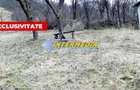Teren Intravilan in Paclisa 1450 mp cu Puz aprobat - 1