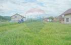 Teren Intravilan + Casa de vacanta Acris | Vama Buzaului | 2551 mp - 10